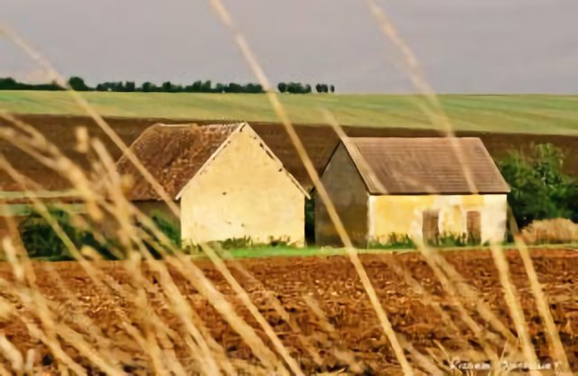 Ferme Berrichonne