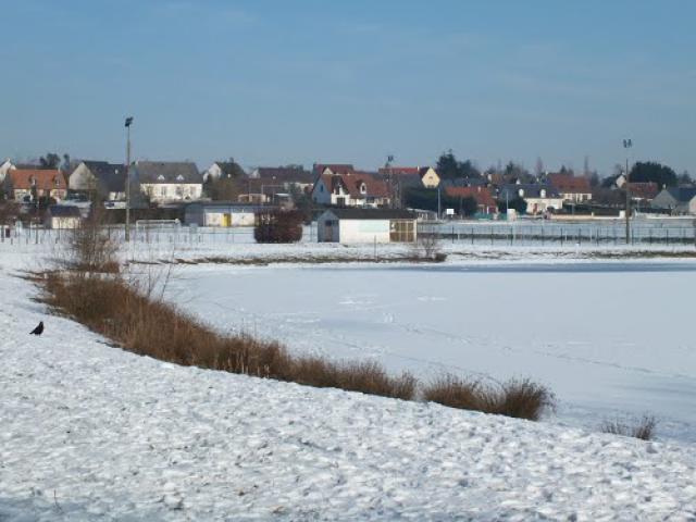 Etang sous la neige 02/2012
