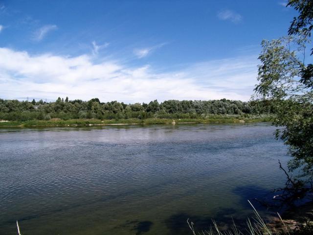 La Loire vue de le rive sud. Fondettes en arrière-plan