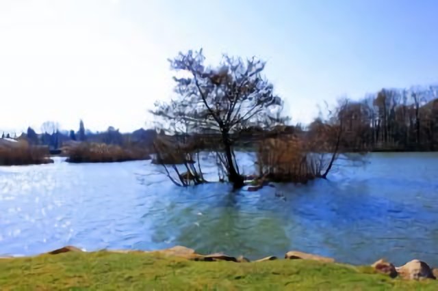 Etang de Freminville