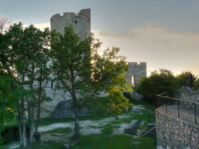 Château de Fallavier 1