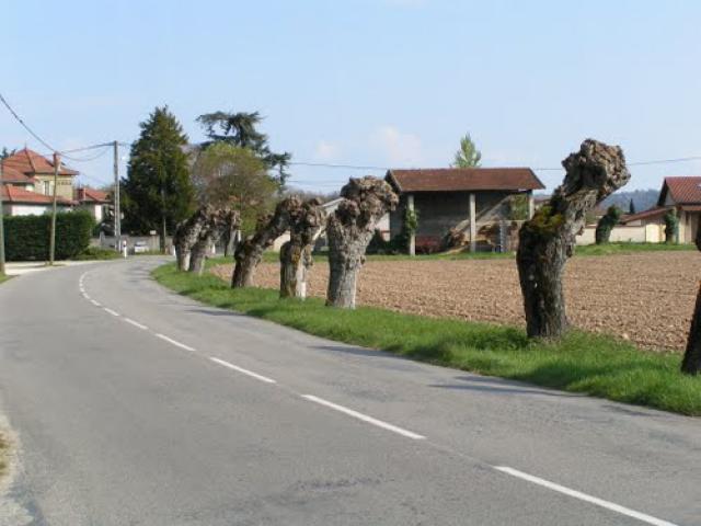 A l'entrée d'Epinouze