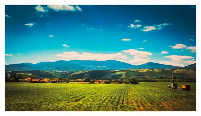 Rhone Valley Trainride