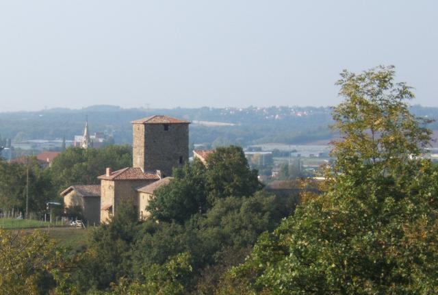 Maison forte des Allinges (France)