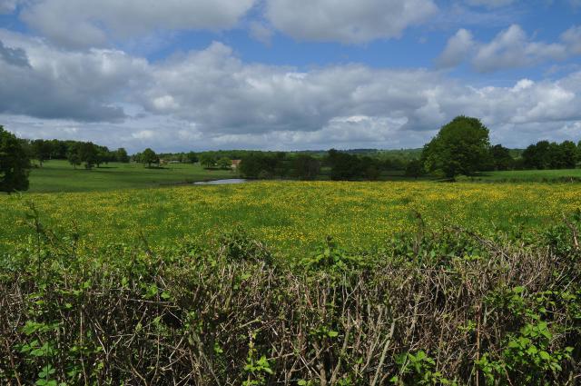 Bocage au Sud de COUZON.