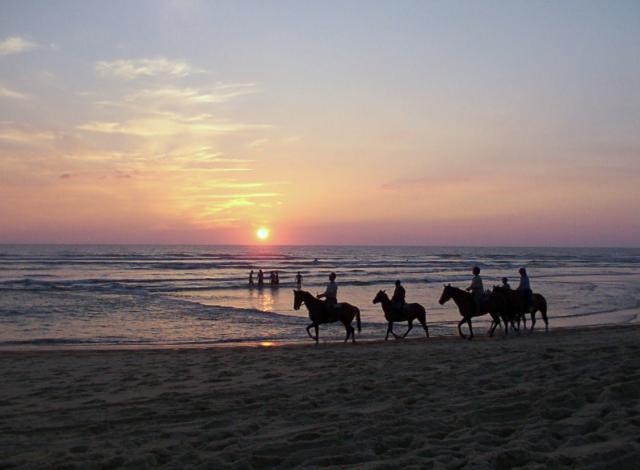 Les plages de Mimizan dans les Landes (département) Aquitaine
