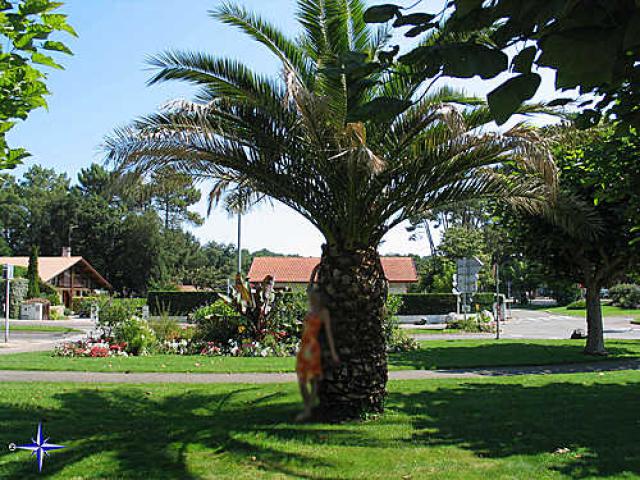 Capbreton05