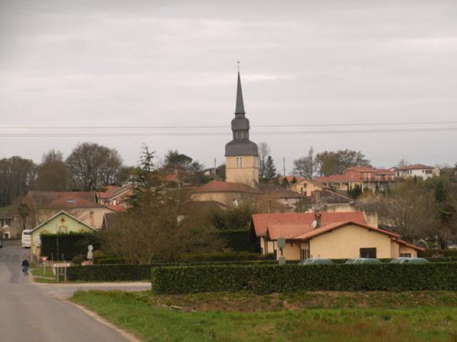 Mimbaste