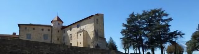 Chateau de Roche la Molière