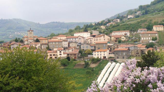 Saint-Romain-en-Jarez; vue générale