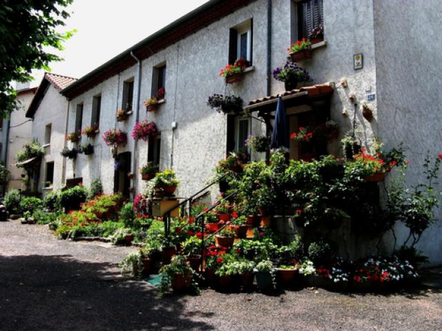 maison fleurie st-marcellin-en-forez
