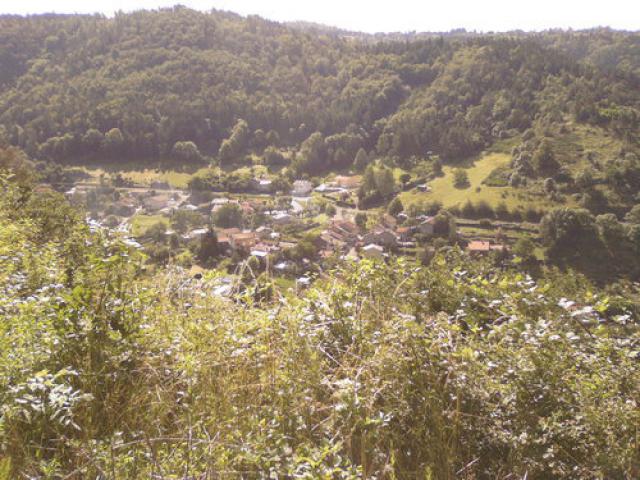 Les Sauvages