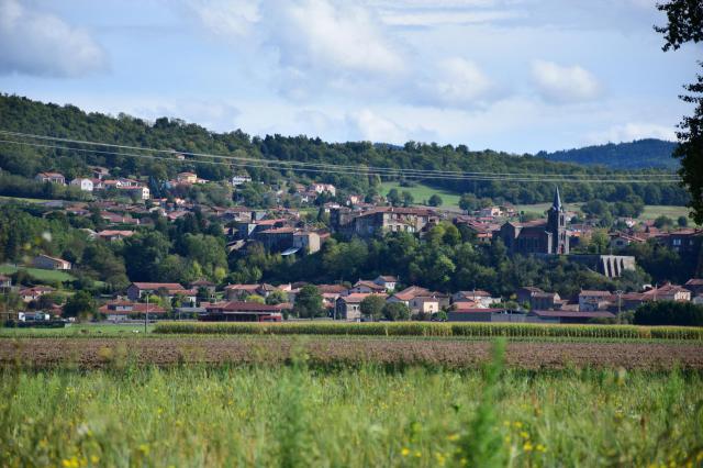 Vue de Lamothe (Haute-Loire, France), depuis l'ouest.