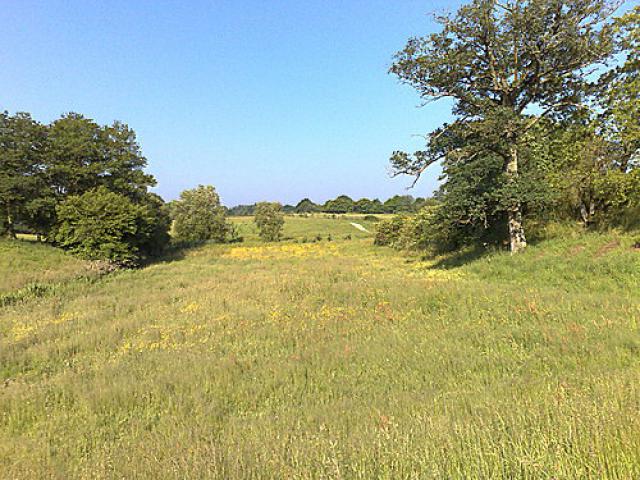 Promenade à côté de l'étang de Grandchamp