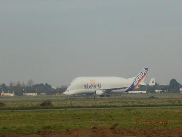 The Transporter (Beluga) AIR BUS