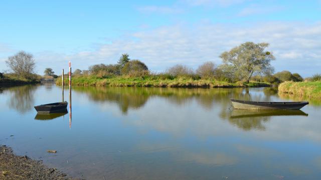 Lac de Grand-Lieu, site de Passay - La Chevrolière (Loire-Atlantique)