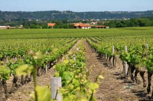 Domaine du Plessis Glain