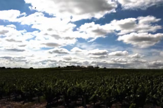 nuages sur le vignoble nantais