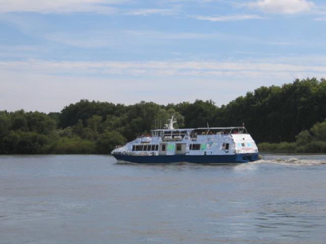 à Basse-Indre, en remontant la Loire vers Nantes, Estuaire 2007
