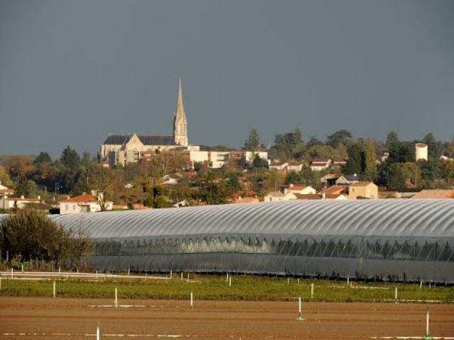 La Chapelle-Basse-Mer