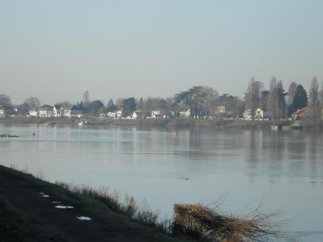 Village de Bellevue - Sainte-Luce-sur-Loire (Loire-Atlantique, France). Le village de Bellevue pris depuis la rive opposée de la Loire.
