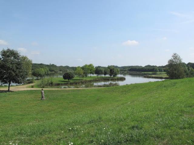 Vue d'ensemble sur l'étang de Plessé.