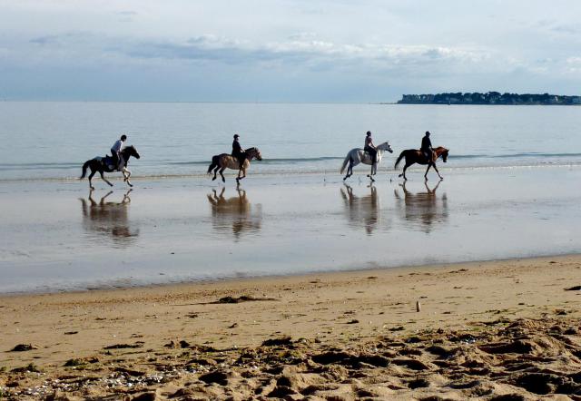 Balade à cheval sur la plage de La Baule