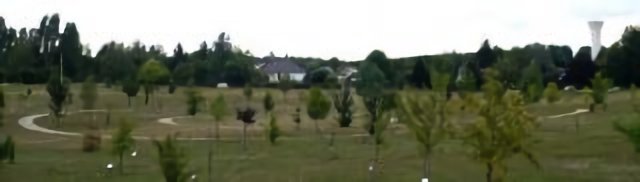 Au milieu de la clairière, ce dessin visible de l'espace!
