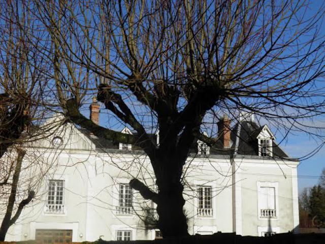 Le petit château