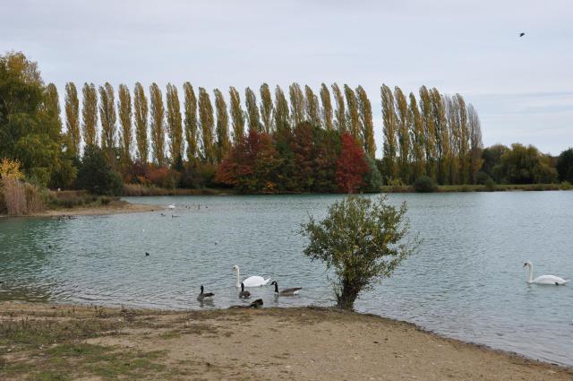 Lac de Chalette (Loiret, France).