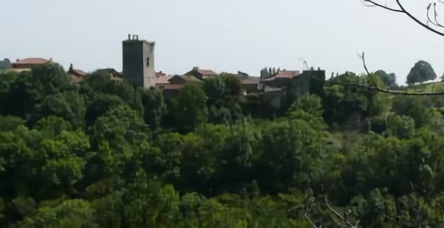 Cardaillac