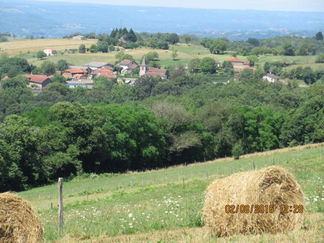 la campagne de Saint-Paul de Vern