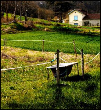 Pâturage et abreuvoir