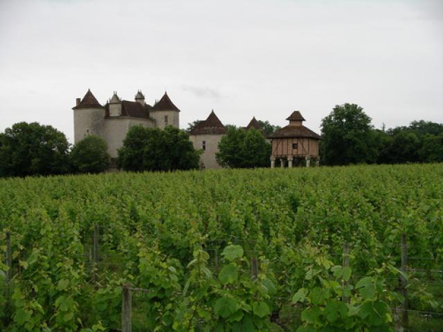 Chateau in Vinyard along Lot River