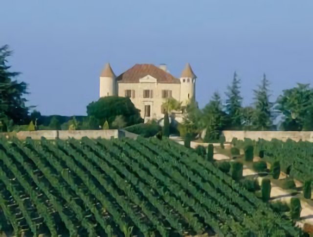 Chateau Chambert vineyard, Malbec vineyard, Cahors - France