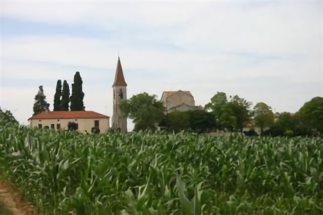 Vue de Saint-Vincent de Lamontjoie en Pays d'Albret