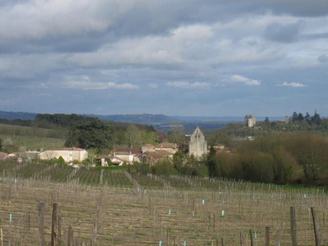 Saint Pierre de Buzet, les vignes et le château de Buzet en point de mire