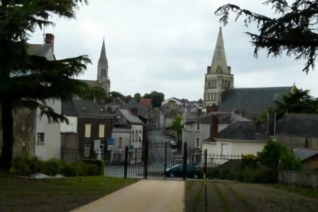 Chemillé, la rue nationale vue du parc Camifolia