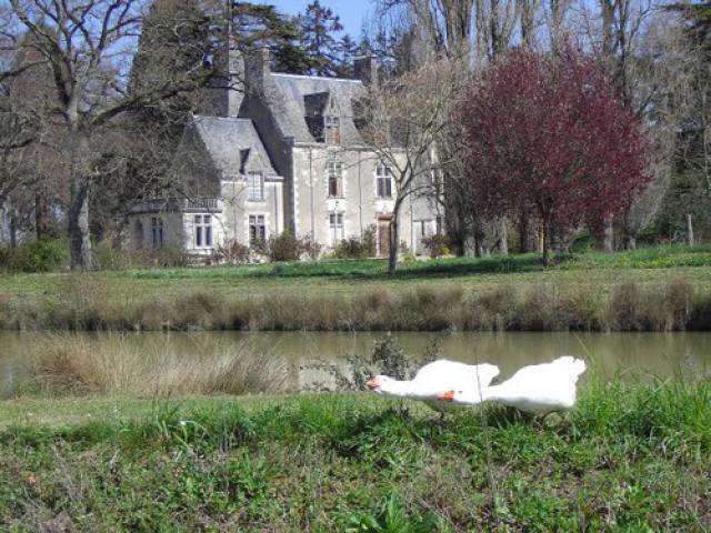 Deux jars protégeant le château de Chavagnes (Maine-et-Loire)