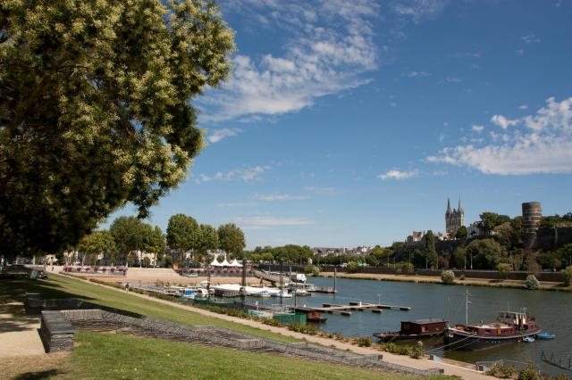 Cale de la Savatte, Angers