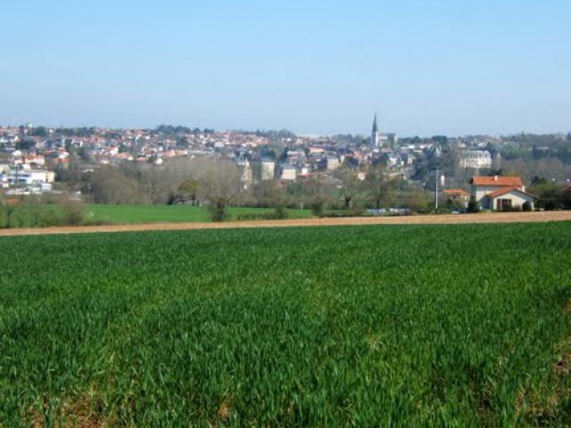 Beaupreau ouest, vu d'un champ