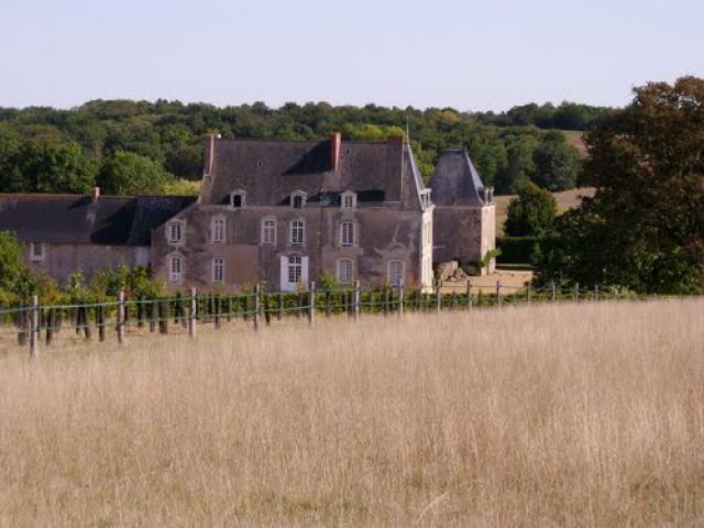 Château de Noizé