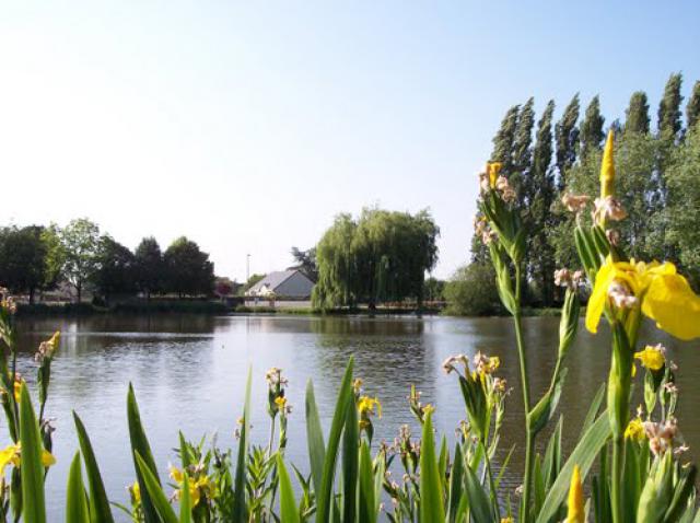 etang de champigne.(peche)