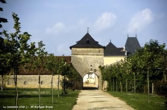 49 Martigné-Briand - Pigeonnier La Calonnière