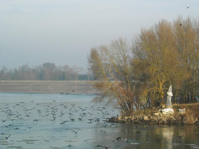 Ile de Chalonnes à Montjean sur Loire