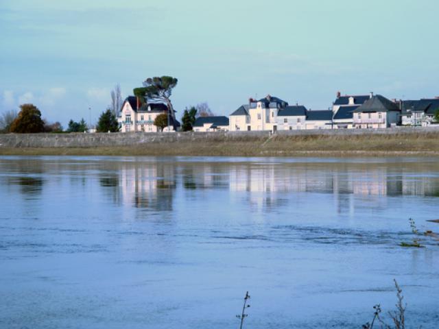 Les Rosiers sur Loire vue de l'île