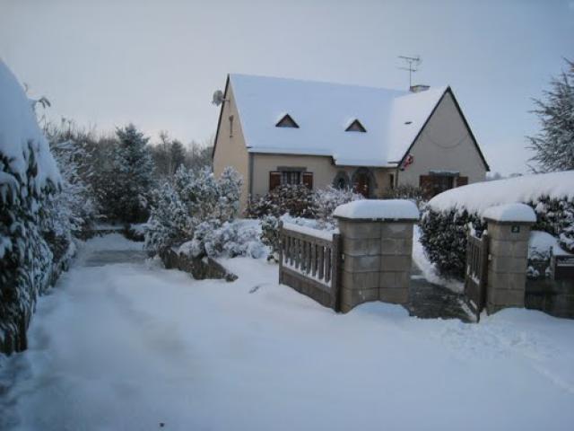 Snow 2010