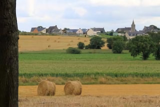 Paisatge rural
