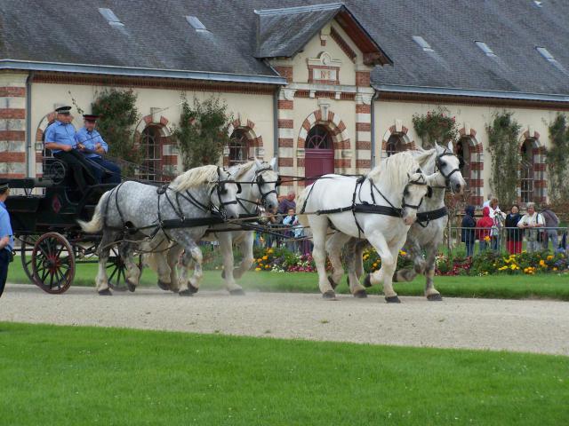 For more information: <a href="http://www.haras-national-du-pin.com">www.haras-national-du-pin.com</a>