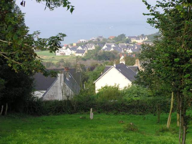 Capel, Les Houx